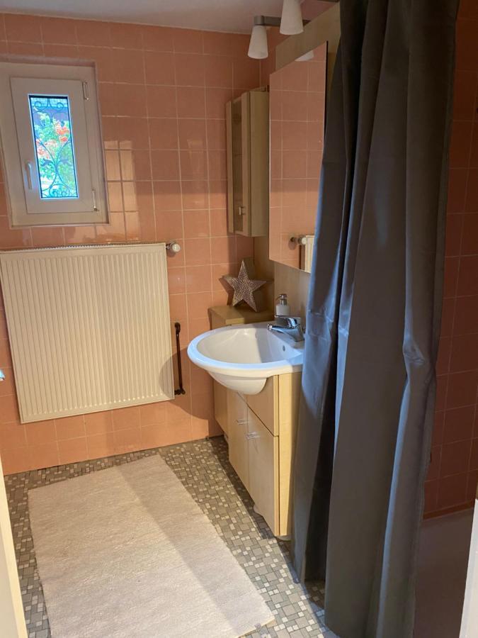 Gemuetliche Wohnung Naehe Schloss ビーデンコプフ エクステリア 写真